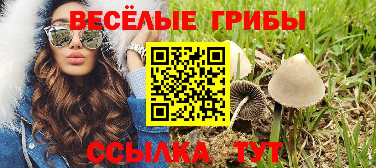 Псилоцибиновые грибы MAGIC MUSHROOMS  Вход с VPN  Галлюциногенные грибы Psilocybe  Королёв 